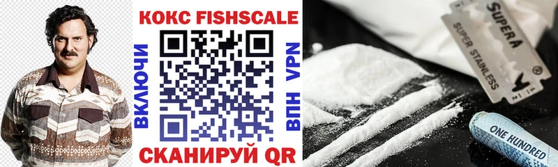Кокаин FishScale  Купить закладки  Чкаловск 