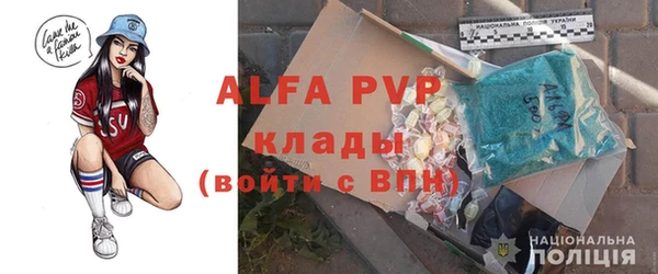 ПСИЛОЦИБИНОВЫЕ ГРИБЫ Волосово