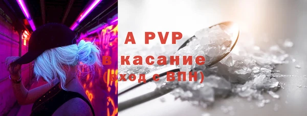 ПСИЛОЦИБИНОВЫЕ ГРИБЫ Волосово