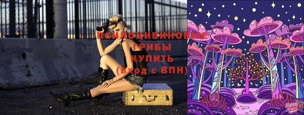 МДМА Осинники
