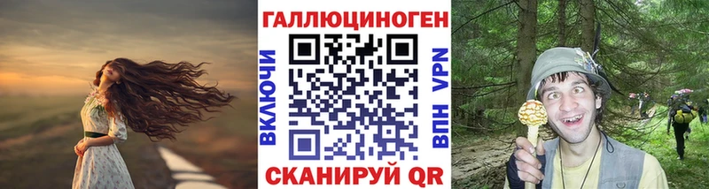 Купить где  Чкаловск  Галлюциногенные грибы GOLDEN TEACHER 